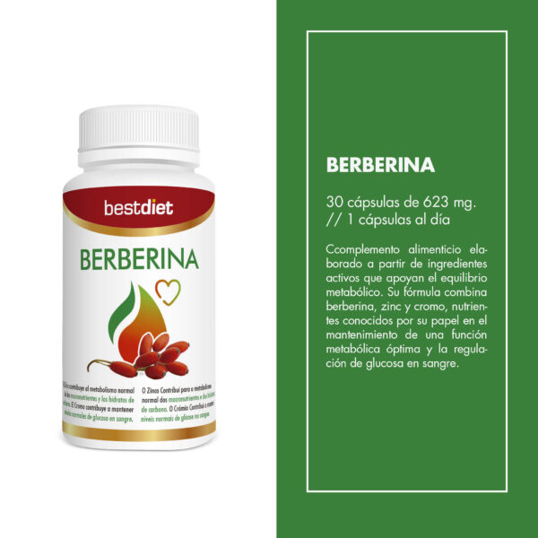 SUP Berberina 30 Cápsulas -  Regulador de Glucosa, Colesterol y Peso | Antioxidante Natural - additional image 5