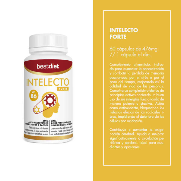 SUP Intelecto Forte 60 Cápsulas – Memoria y Rendimiento Mental - additional image 3