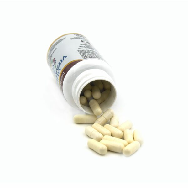SUP Multivitaminas 60 Cápsulas – Energía, Inmunidad y Bienestar - additional image 5