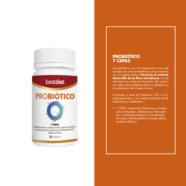 SUP Probiótico 30 Cápsulas – Salud Digestiva e Inmunidad - additional image 3